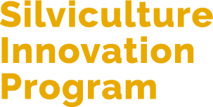 Silviculture Innovation Program