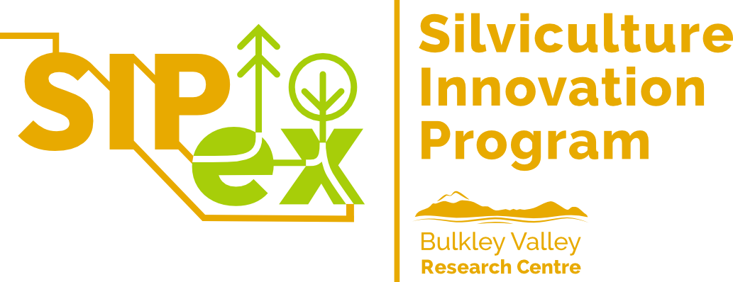 Silviculture Innovation Program